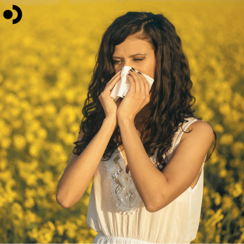 Managing Pollen Allergies: What Causes Them and What Actually Helps