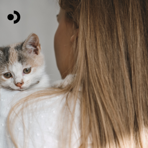 Cat Adoption Guide