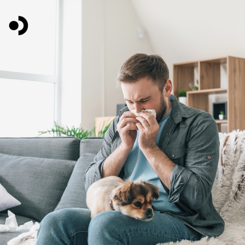 Dog Allergies in People and Pets