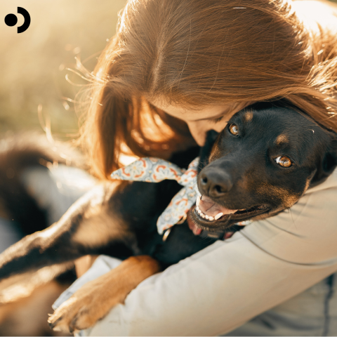 Dog adoption
