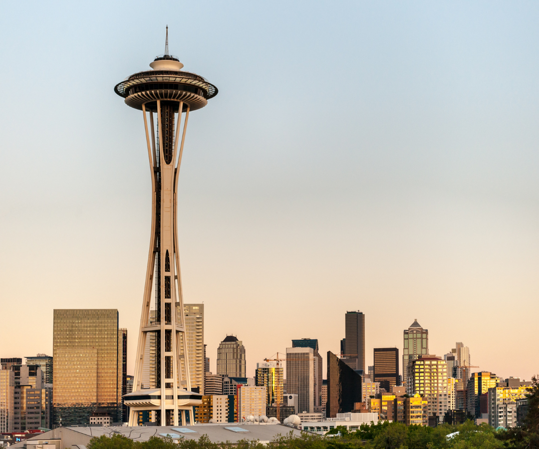 How to Tackle Cat Allergies in Seattle's Climate 