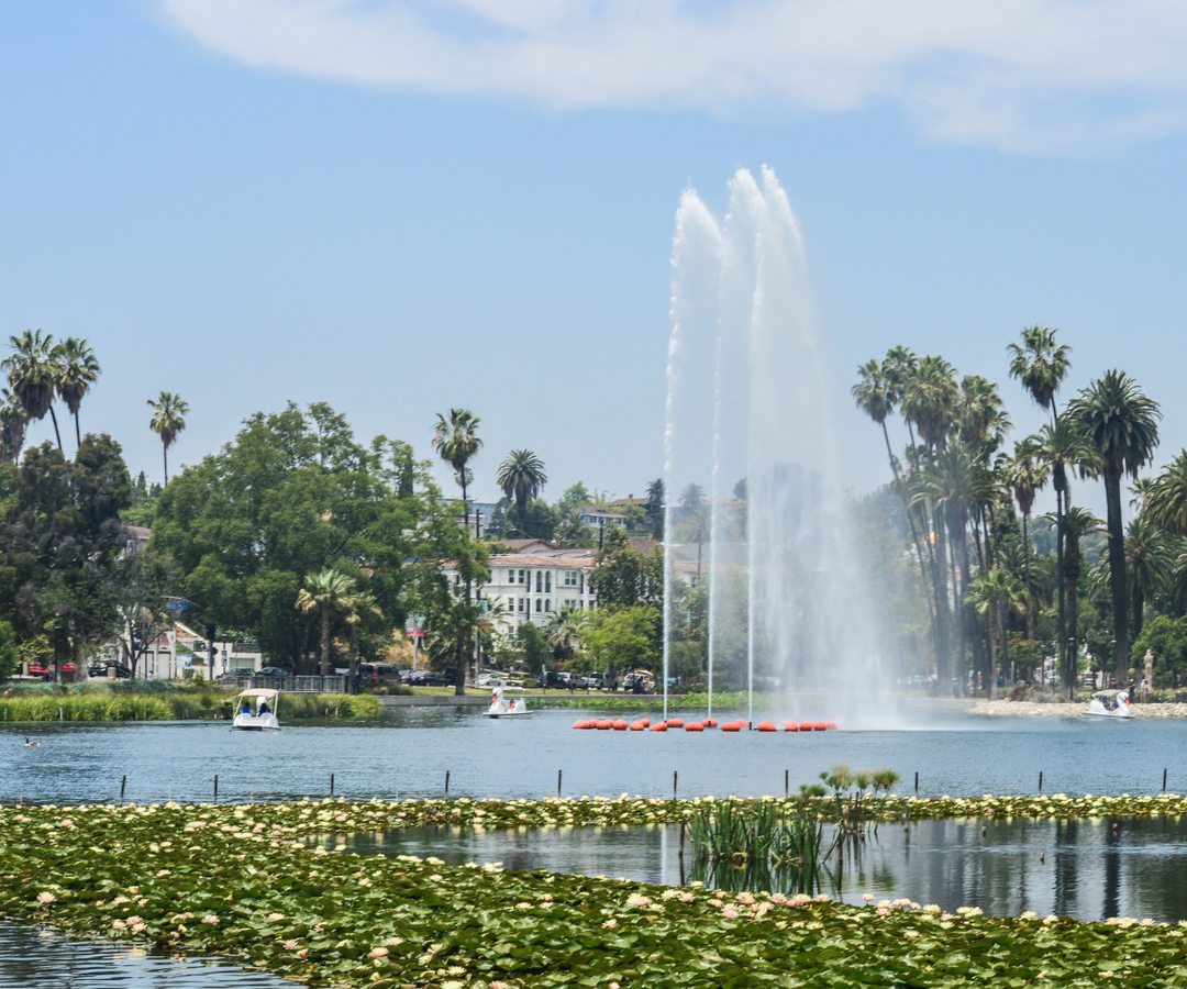 Top Spots in Los Angeles to Explore with Your Leash-Trained Cat