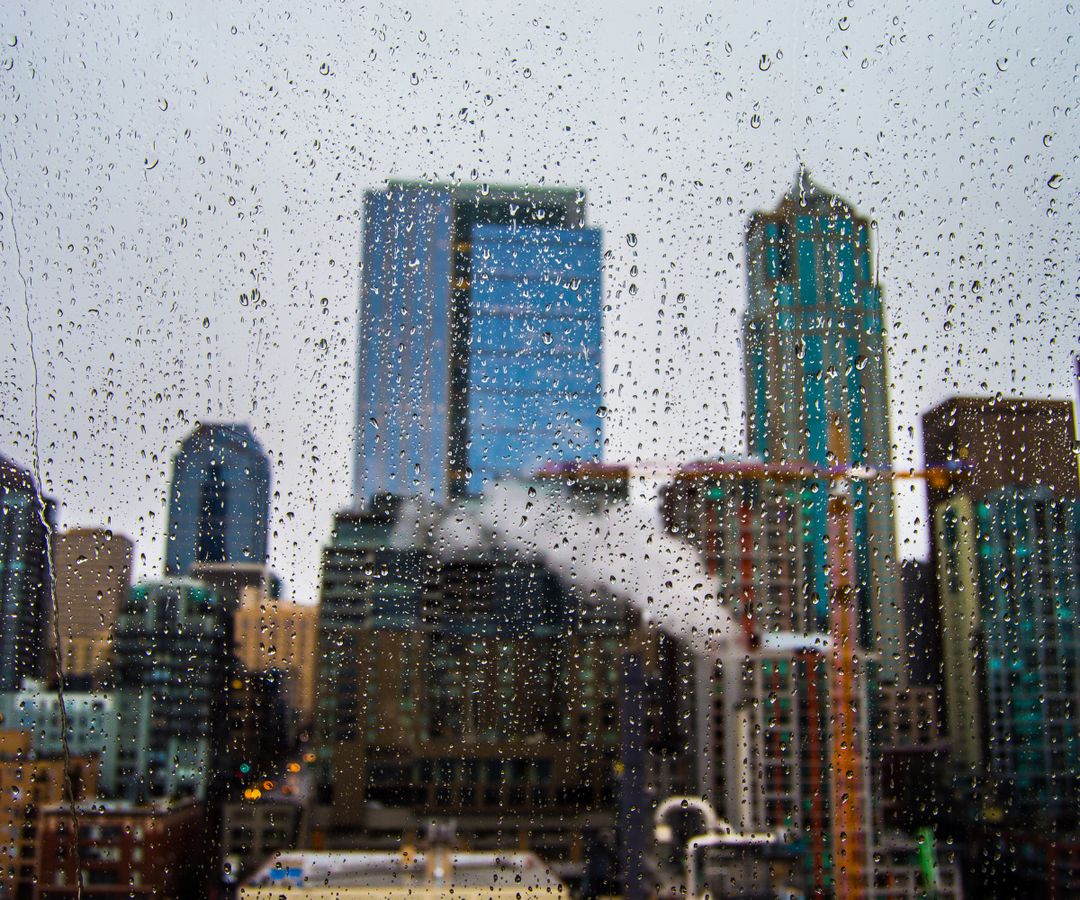 Keeping Dogs Happy in Seattle’s Rainy Weather: Tips for Comfort and Fun