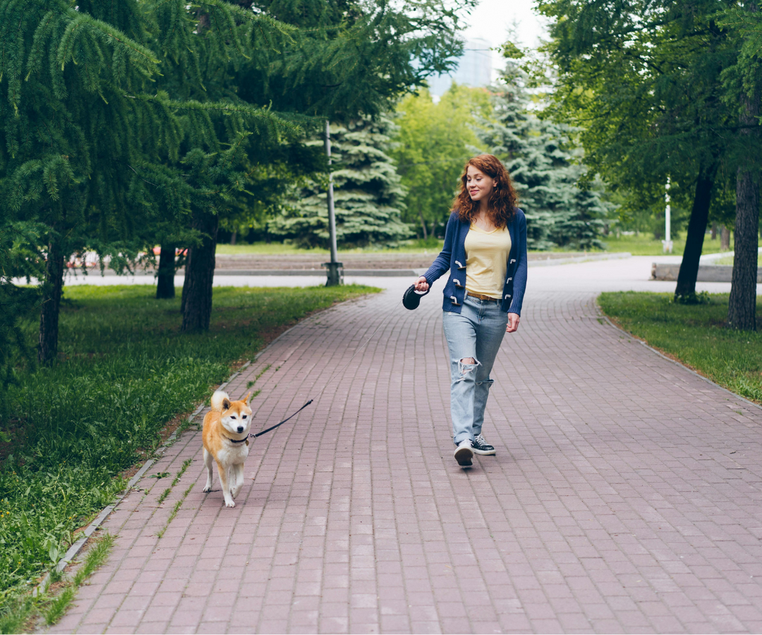 Seattle’s Best Dog Parks and Coffee Shops: Where to Play and Relax with Your Pup