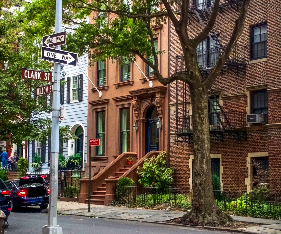 Creating a Cat Allergy-Friendly Home in NYC