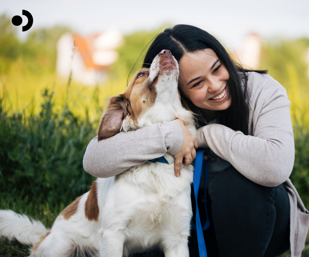 Dogs Get Allergies Too — Here’s How You Can Help