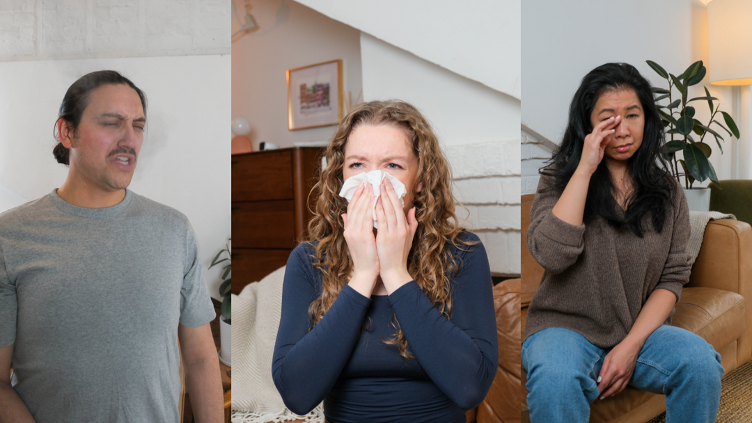 Do Air Purifiers Really Help with Dust Mite Allergies?