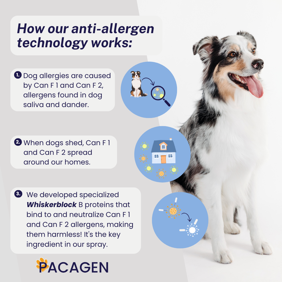 Dog Allergen Neutralizing Spray Starter Pack