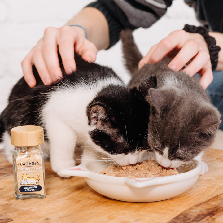 Cat Food Topper - Chicken